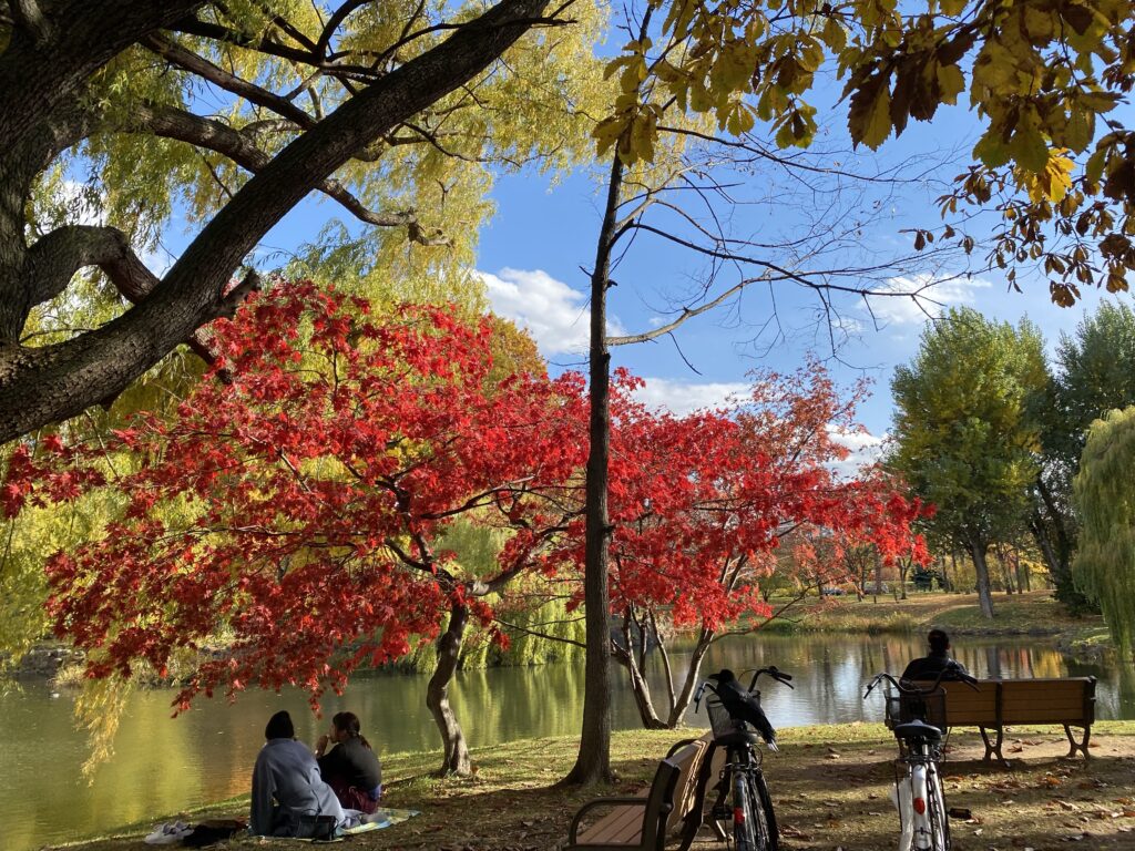 nakajima park